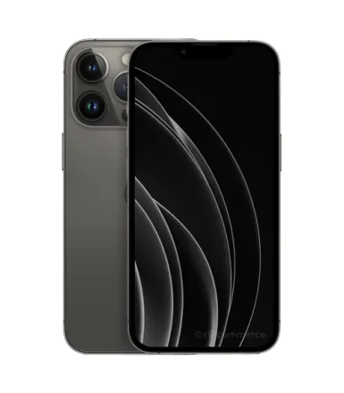iPhone 13 Pro Max - 256GB - Noir (Batterie 100%)